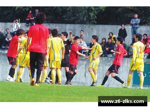 球场之外：聚焦球员妻子的生活与故事